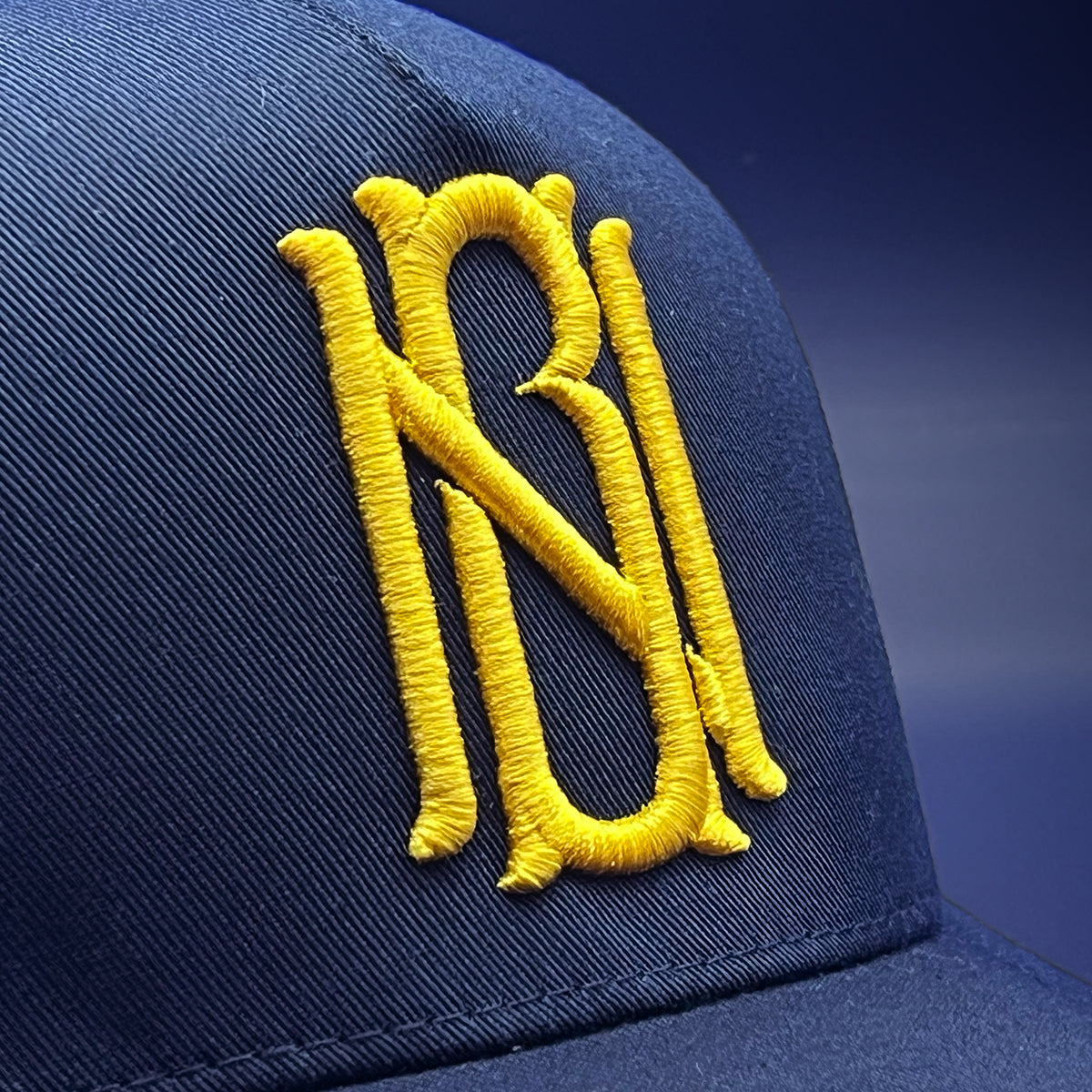 NBNCo. Logo Hat - Ann Arbor